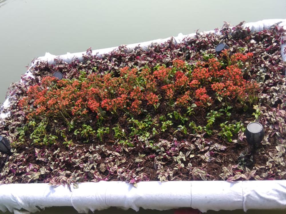 25032c7f-f825-493b-b7af-dcb0d27d5b77