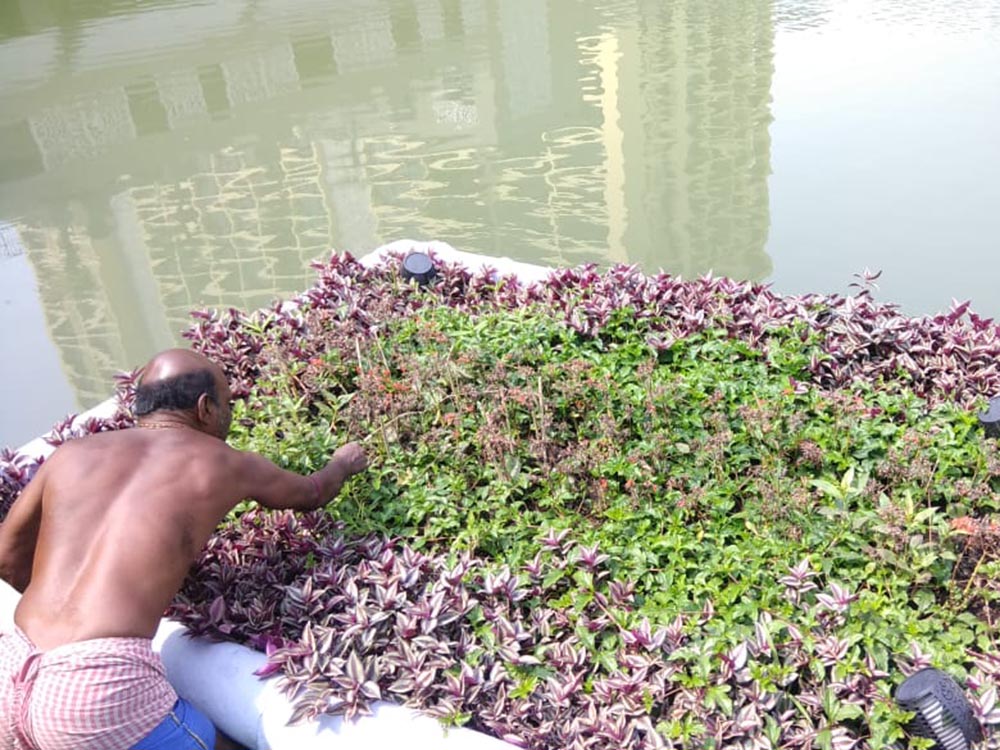 WhatsApp Image 2020-03-18 at 10.21.47 AM - Copy