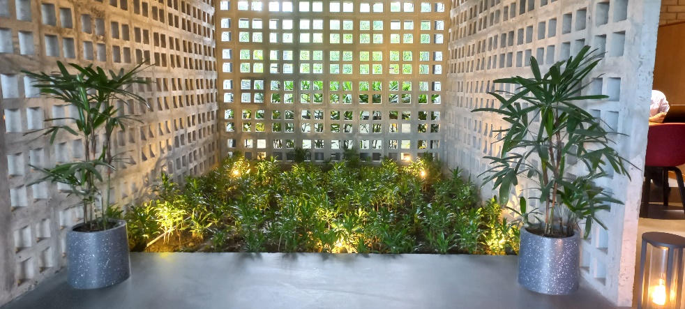 Indoor Plantation